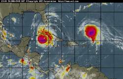 Huracanes respetan mayor humedal del Caribe insular